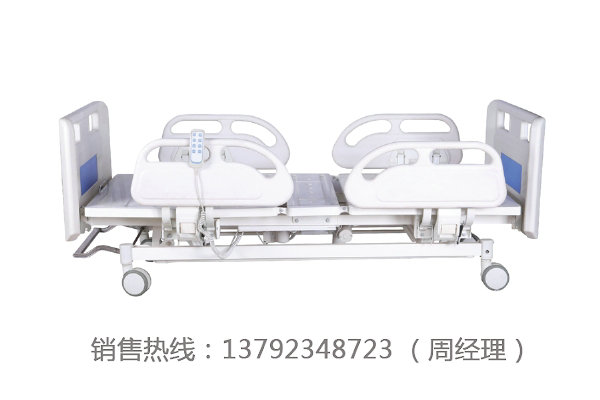 LK-DH-I型（三功能電動(dòng)床）